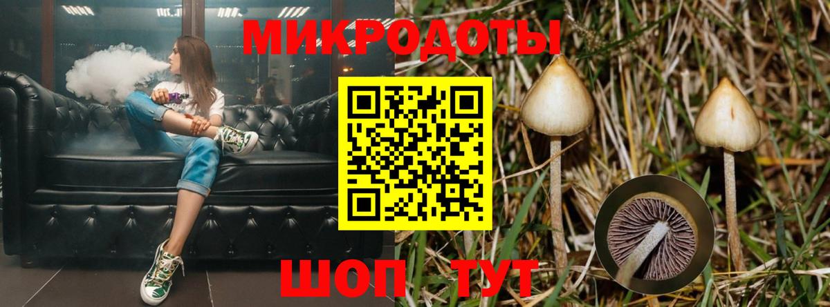 Галлюциногенные грибы мухоморы Новоалександровск